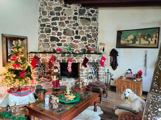 Foto de la galeria de imagenes